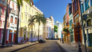 Comissão Passeio City Tour Recife e Olinda